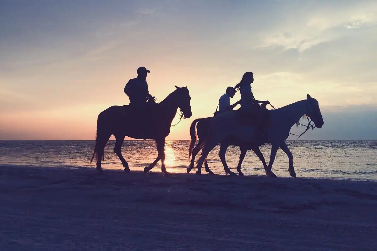 Adventure Safari by Horse in Hurghada Duiring Sunset or Sunrise