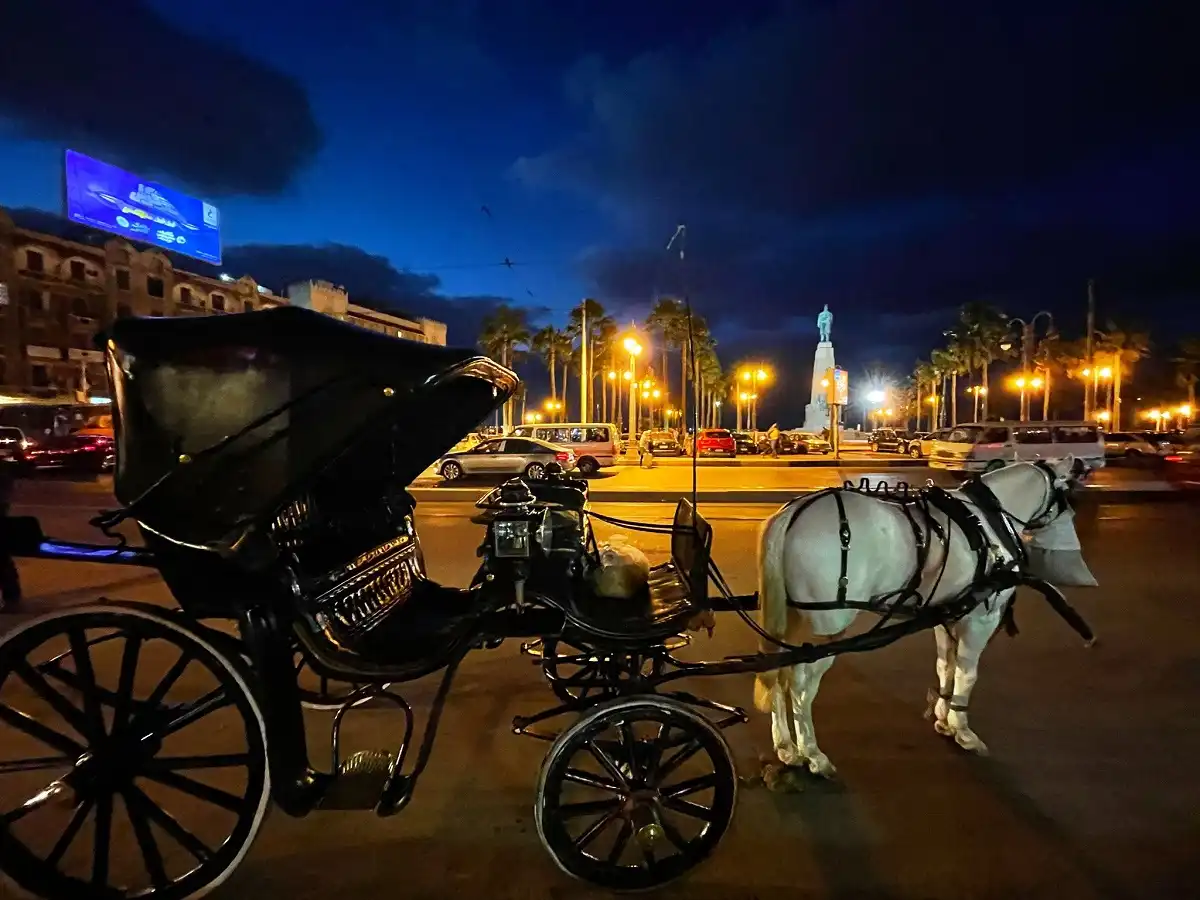 Alexandria by Night Private Tour by Horse Carriage Ride and Free Walking Tour