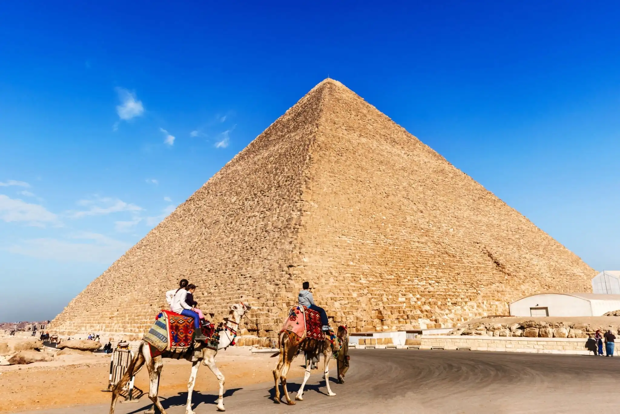 Day Tour To Giza Pyramids With Camel Ride and Egyptian Museum in Cairo