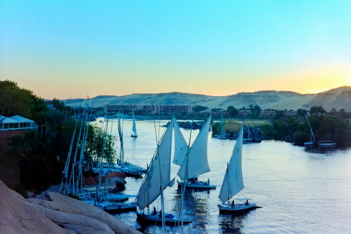 Private Tour to Botanical Garden With Felucca Ride on Aswan Nile River