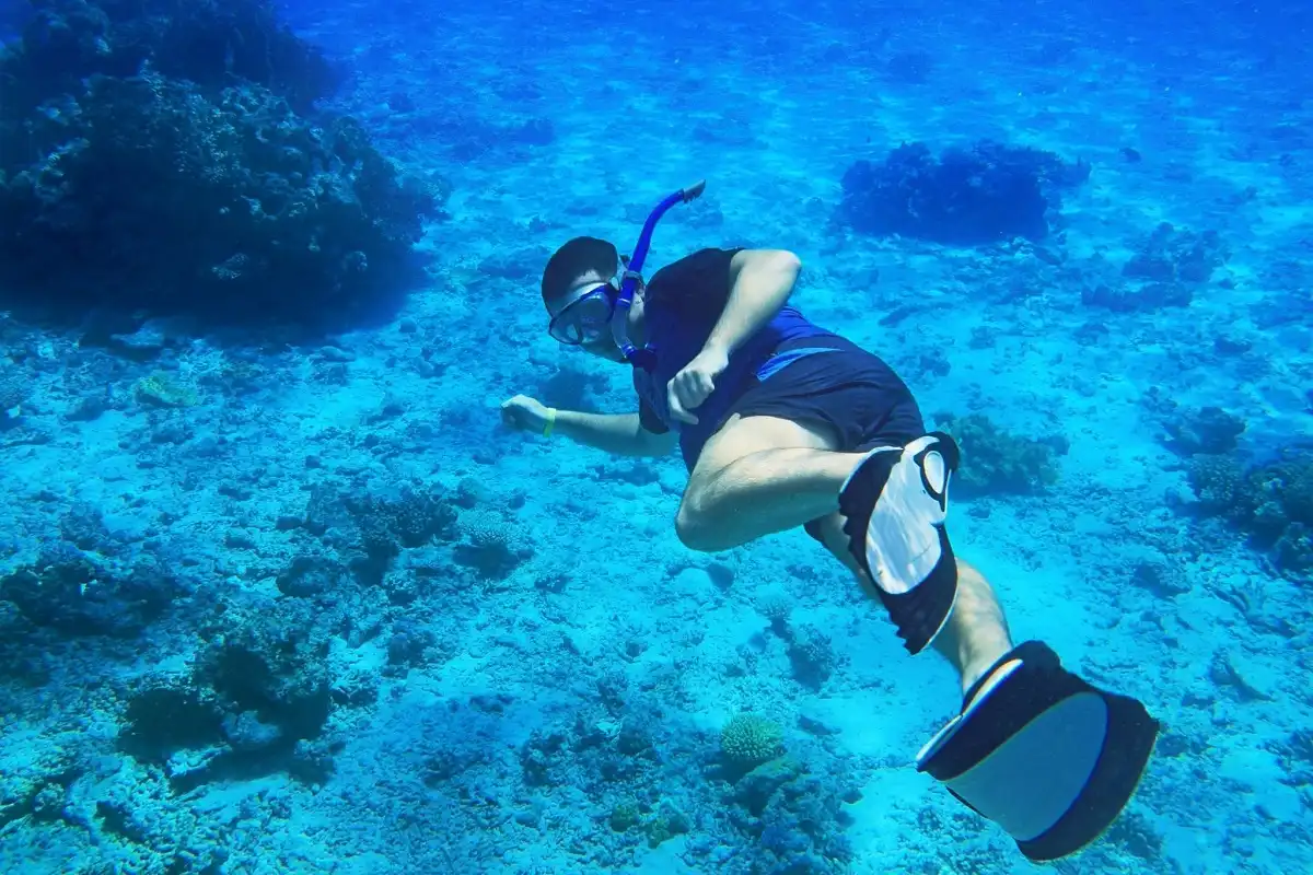 Snorkeling Trip in Tiran Island by Boat in Sharm El Sheikh